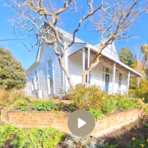 24 Cranston Street Dunedin 09/25